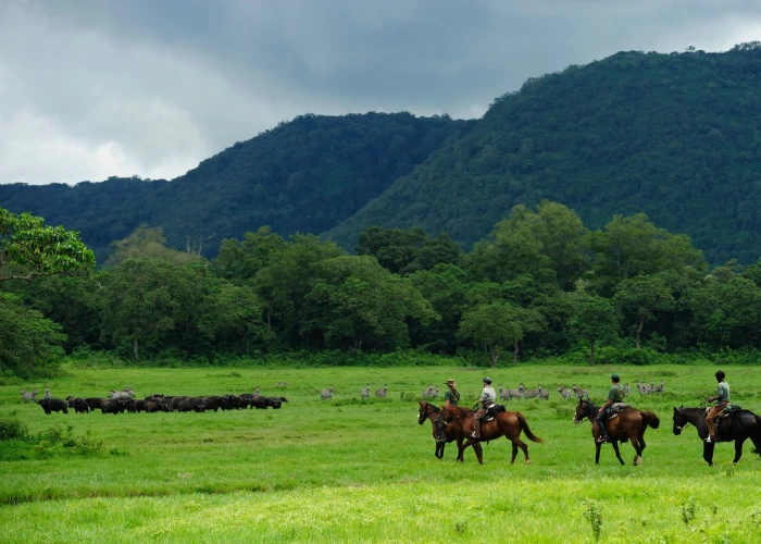 4Days Arusha Horse Ride Safari