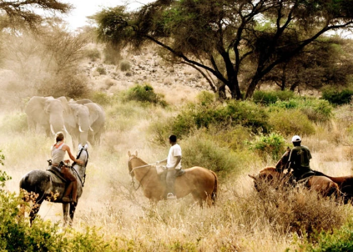 4 Days West Kilimanjaro Horse Ride Safari 