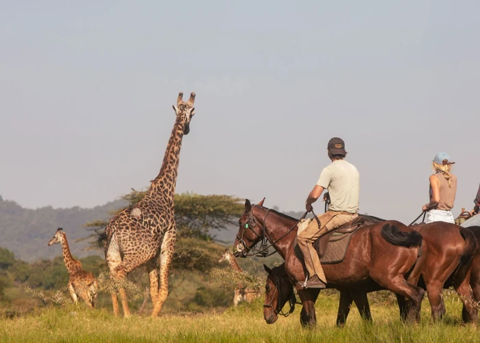 5 Days Tanzania Luxury Safari & Horse Riding