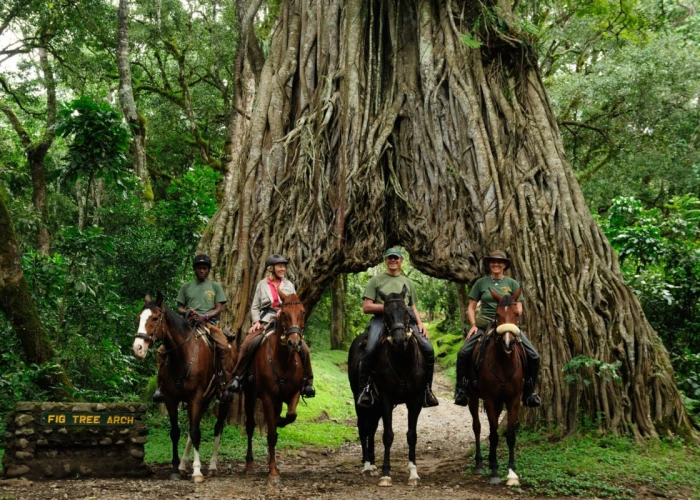 6 Days Horse Riding Safari Arusha National Park