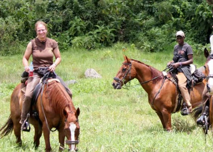 8 Days Kilimanjaro Elephant Ride