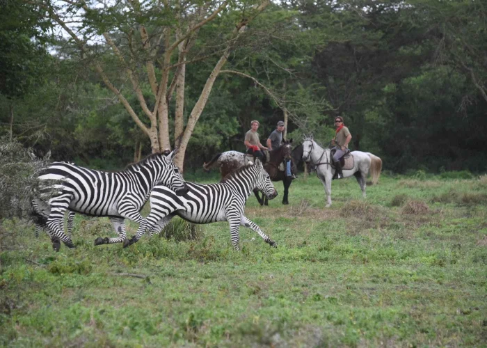 9 Days Horse Back Ridding – Tanzania Safari & Culture Experience 